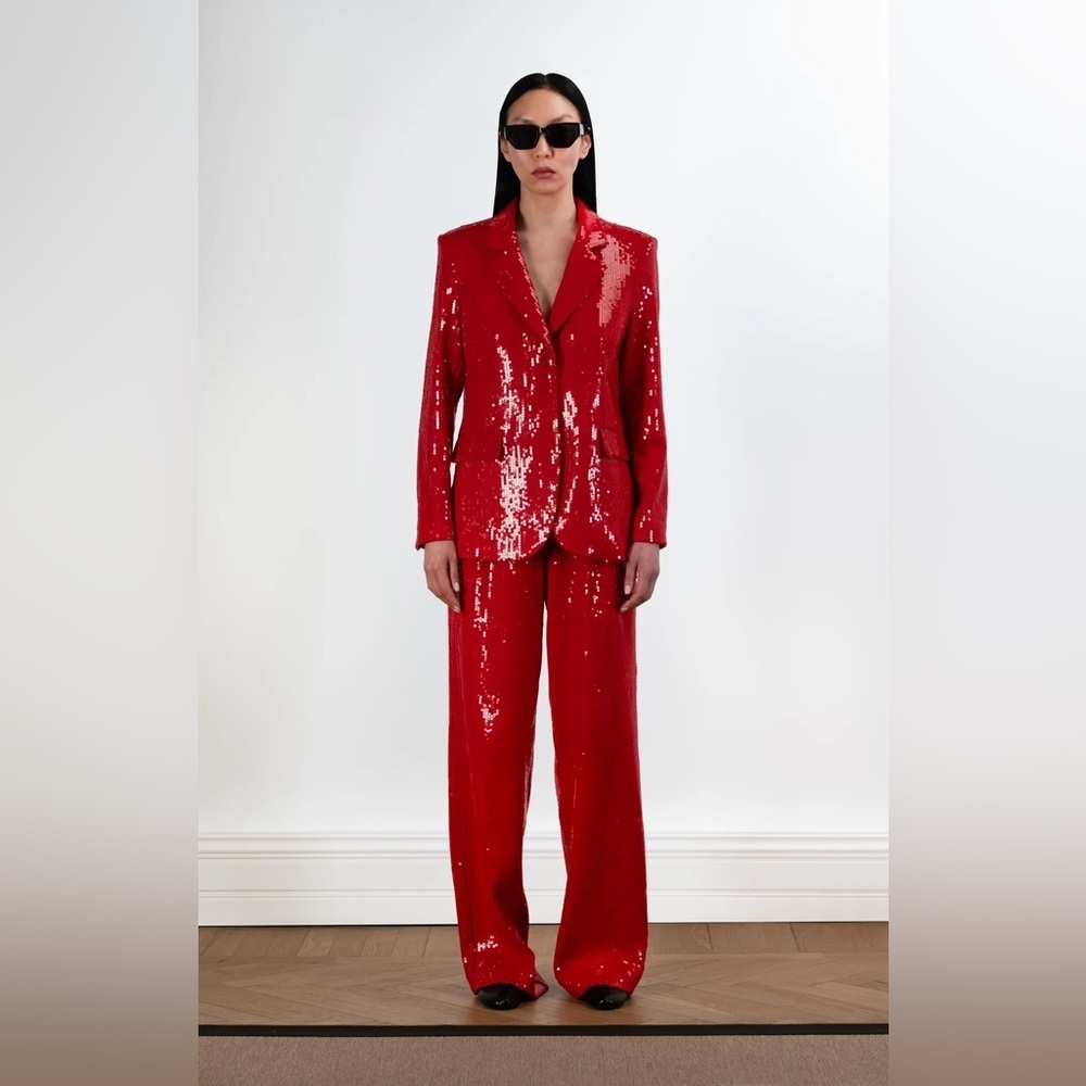 NWT ZARA Sequin Trousers size XS - Picture 2 of 12